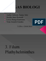 Platyhelminthes - Klasifikasi Makhluk Hidup