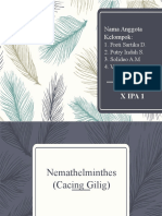 Nemathelminthes - Klasifikasi Makhluk Hidup
