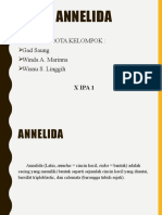 Annelida - Klasifikasi Makhluk Hidup