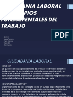 Ciudadania Laboral y Principios Fundamentales Del Trabajo