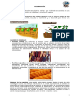 Germinacion PDF