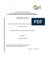 Informe Técnico-EI-Sabritas,Toluca
