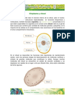 Estructura de celulas.pdf
