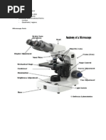 ANATOMY AND PHYSIOLOGY Reviewer