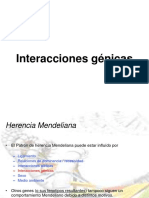 Interacciones Génicas