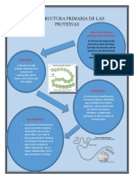 La estructura primaria de las proteínas: la secuencia de aminoácidos