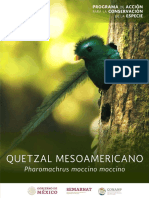 PACE_Quetzal_Mesoamericano_