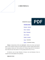 Download klasifikasi mamalia by silvanti SN47710338 doc pdf