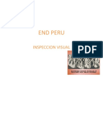 Copia de END PERU IV