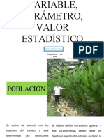 Población, Muestra, Variable, Parámetro, Valor Estadístico