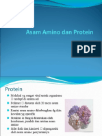 Protein dan Asam Amino