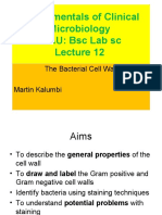 Fundamentals of Clinical Microbiology MAU: BSC Lab SC: The Bacterial Cell Wall Martin Kalumbi