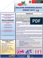 Boletin Epidemiológico Enero 2019