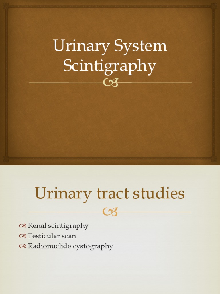 Nuclear Medicine Renal Scintigraphy PDF Vitamin B12 Renal Function