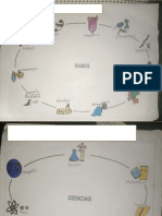 ejemplos de ciencia y ramas.pptx