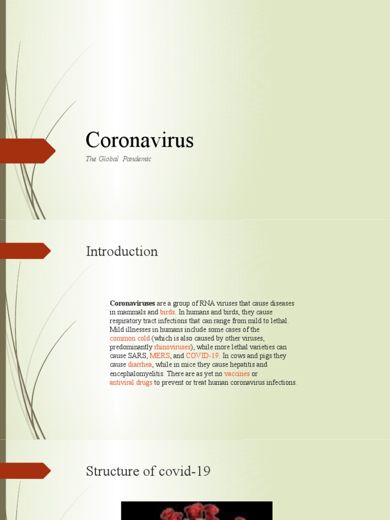Coronavirus: The Global Pandemic | PDF