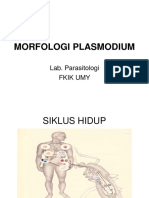 PRAKTIKUM BLOK 20 MORPHOLOGY OF PLASMODIUM Ok PDF