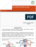 Cirugía Cardiovascular PDF