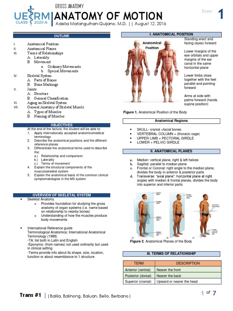 An In-Depth Exploration of Human Anatomy and Motion | PDF | Anatomical ...
