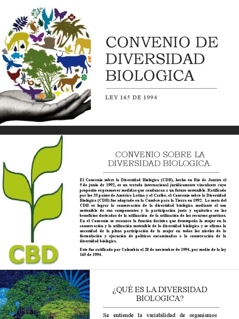 Diapositivas Convenio de Diversidad Biologica PDF