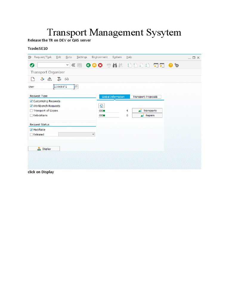 Transport Management SystemSAP PDF