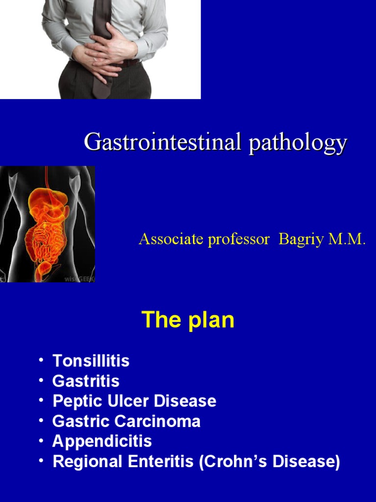 Gastrointestinal Pathology Overview | PDF | Stomach | Gastroenterology
