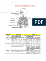 Komponen Sistem Respiratori PDF