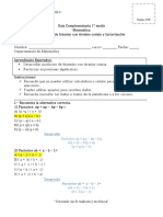 Documento Pauta Guía Complemetaria PDF