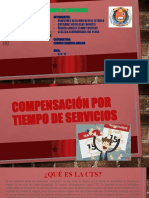 10060631_TRABAJO DE CTS - PERITAJE CONTABLE 2019.pptx