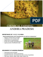 Chemical Farming: IN Andhra Pradesh