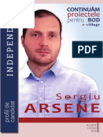 Sergiu ARSENE - Profil de CANDIDAT 