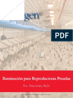 Iluminacion Reproductoras Pesadas (2009) PDF