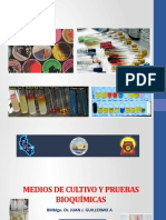 Medios de Cultivo y Pruebas Bioquímicas-1 - 448