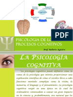 Psicologia de Los Procesos Cognitivos