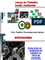 Ergonomia.pdf