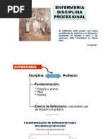 Disciplina Profesional