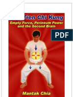 1 - Tan Tien Chi Kung Mantak Chia