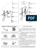 FR - FL Actividad