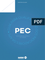 Qualificadores Indicador PEC