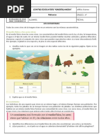 Refuerzo Cuarto Ciencias