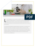 Lectura 1 La Microbiologia Herramienta de Inocuidad e Innovacion PDF