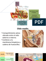 Oído medio: membrana timpánica, huesecillos y TC