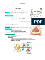 Schema Lectiei Tesutul Nervos