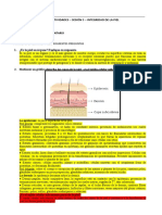 Guia Actividades - Sesión 5 - Tegumentario