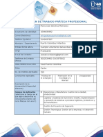 Anexo 1 Formato Plan de Trabajo Practica Profesional