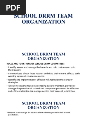 School Drrm Team Organization | Pdf | Risk Management | Search And Rescue