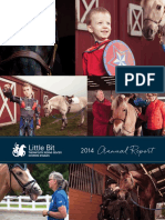 Little Bit Annual Report 2014