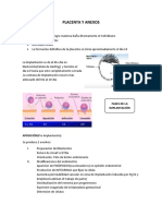 PLACENTA RESUMEN