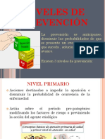 Niveles de Prevencion PDF