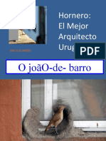 hornero constructor_MR